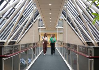 Twee collega's lopen over de brug in het gebouw